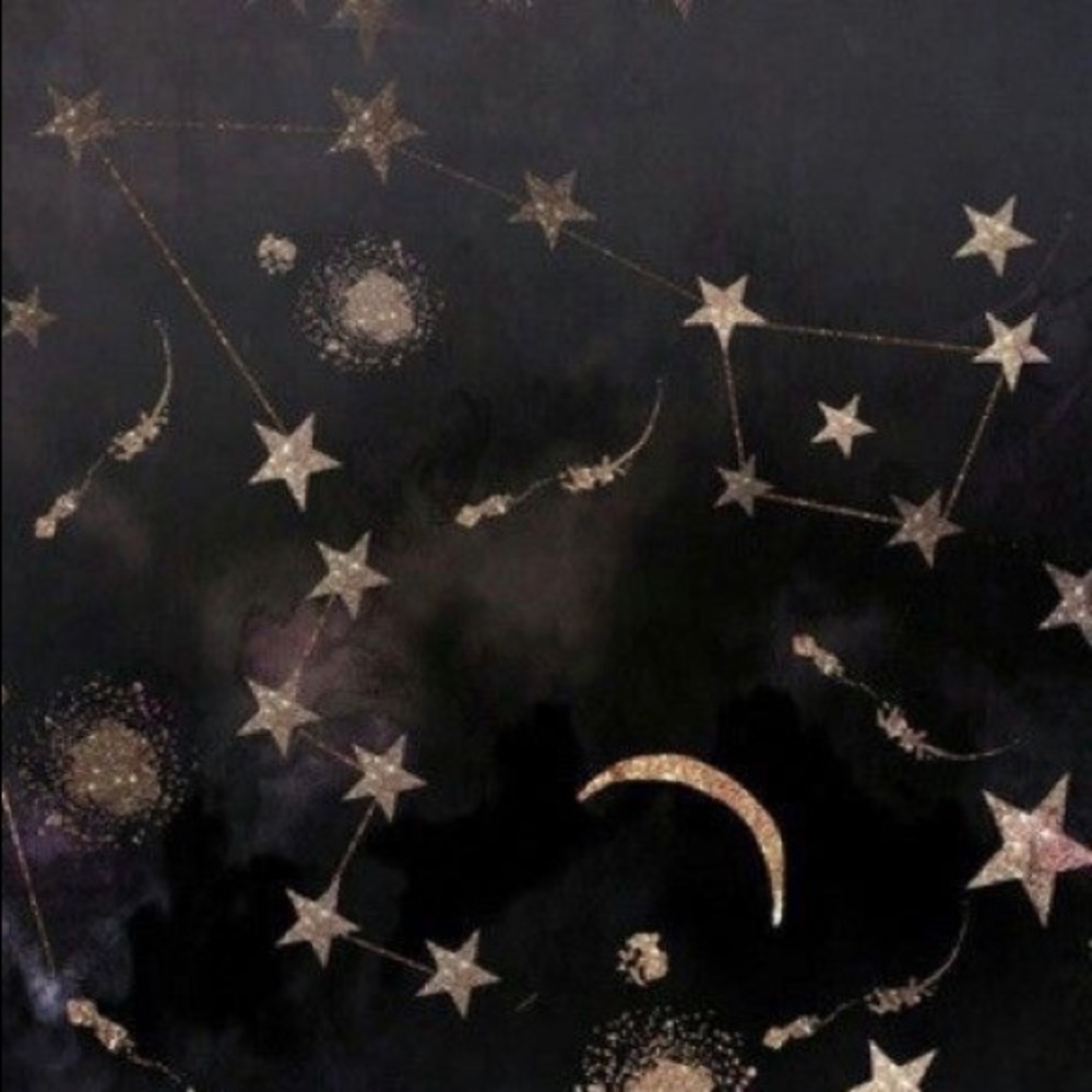 Meet your Posher, Sasha